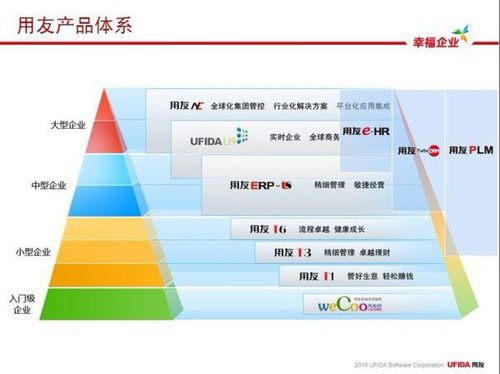 软件项目管理能力评估 驱动企业软件开发成功的关键